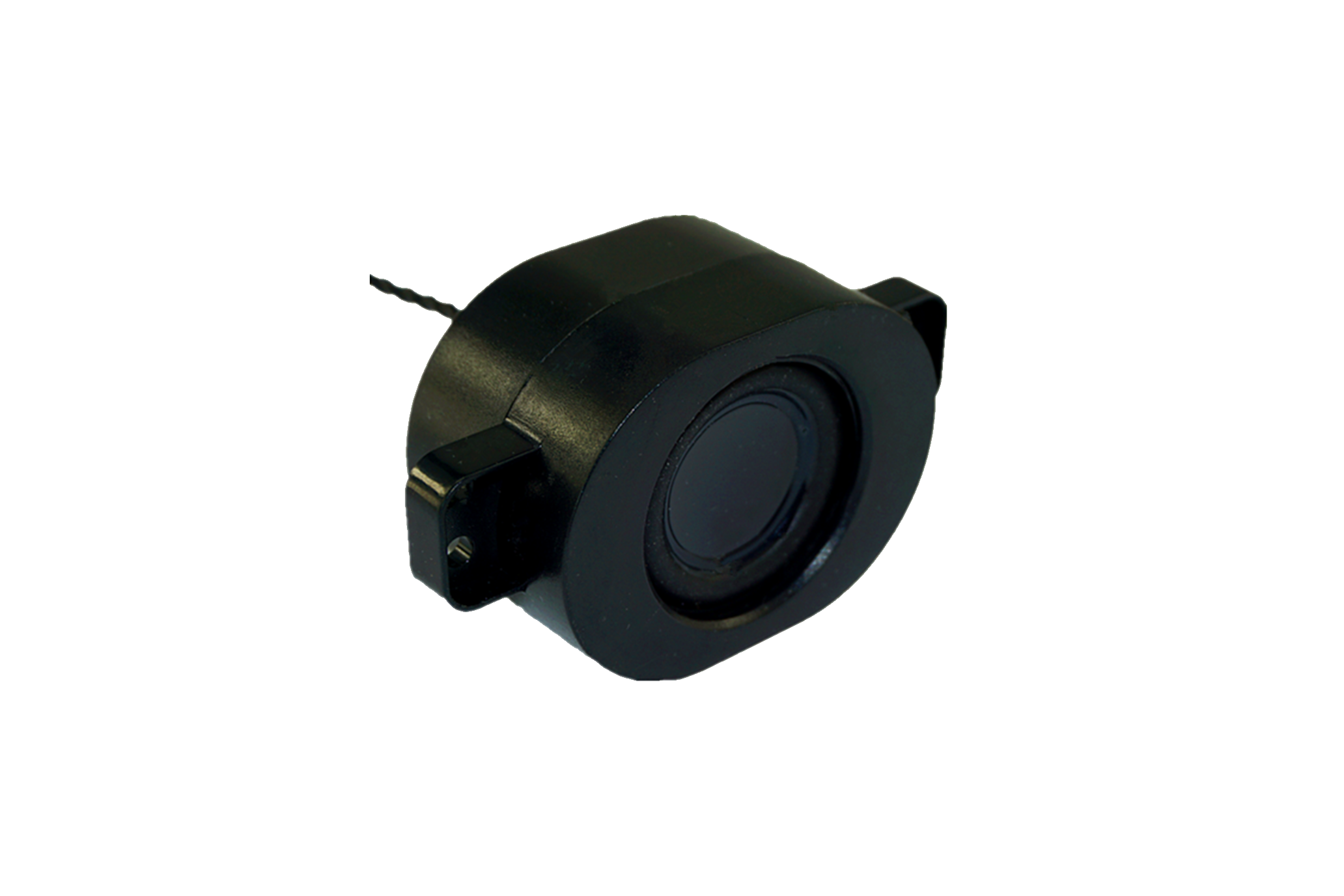 Custom class mini speaker speakers